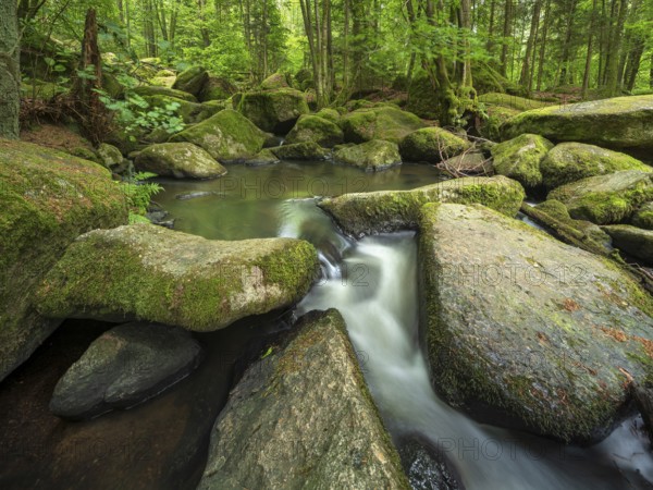 The Höllbach in the Hölle Nature Reserve flows through green forest and large moss-covered rocks,