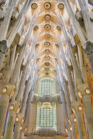 Interior of the Familia Sagrada, religion, Christianity, by the architect Antonio Gaudi in