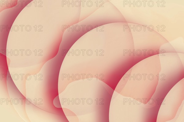 Seamless blend of warm pink and peach hues in soft wave-like abstract patterns, ideal for vibrant