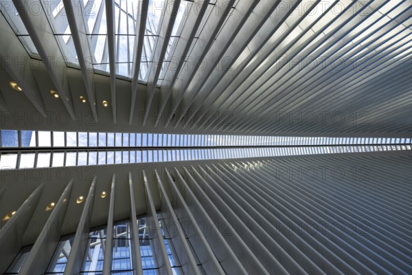Modern architectural interior featuring repeated linear patterns and daylight streaming through the