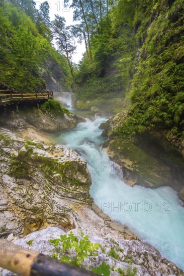 Breathtaking view of the turquoise radovna river carving its way through the stunning vintgar