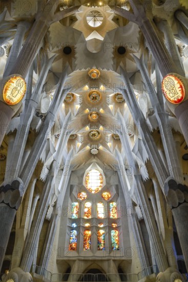 Nave, ceiling vault, columns, Sagrada Familia, Basilica by Antoni Gaudi, Barcelona, Catalonia,