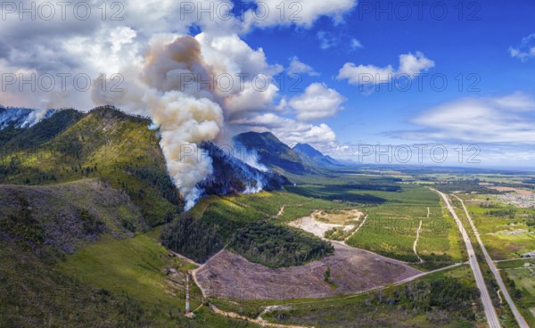 Landscape in South Africa, forest fire, fire, smoke, flames, burning forest, N2, Kou-Kamma Ward 6,