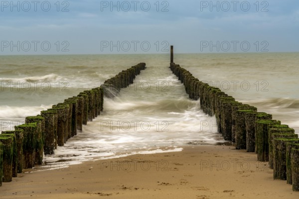 Coastal protection, through wooden posts, paalhoofden, on the beach, breakwater, the piles, some of