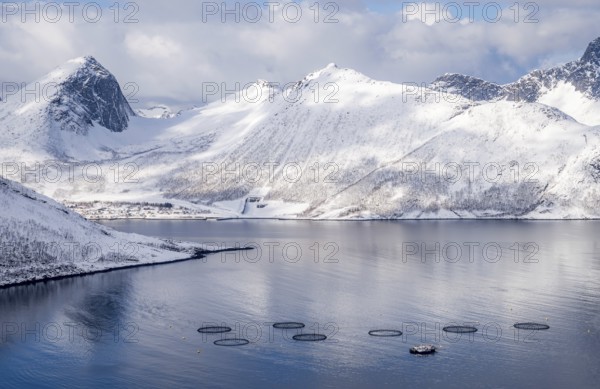 Aerial view of a fish farm in the waters of Husoy, Norway, surrounded by dramatic snow-covered