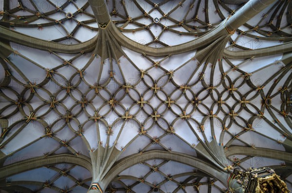 Interior view, mesh vault, vaulted ceiling in the central nave, Lutheran City Church, Bad Wimpfen,