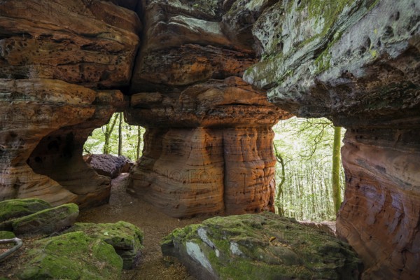 Sandstone Cliffs, Old Castle Rock, near Eppenbrunn, Palatinate Forest, Rhineland-Palatinate,