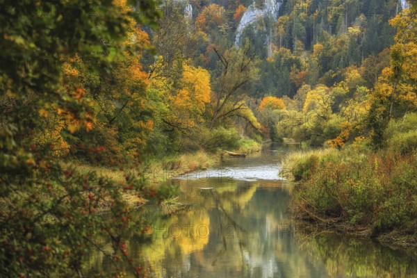 The Danube snakes through a colorful autumn forest where the colors of the leaves are reflected in
