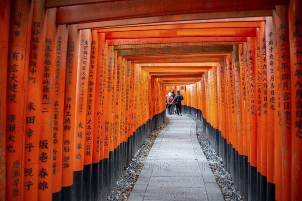 Walk through hundreds of red traditional torii gates, Fushimi Inari Taisha, Shinto Shrine, Fushimi