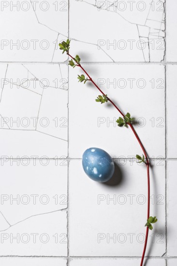 Top view of a single blue Easter egg adorned with a fresh green sprig on a textured white tiled