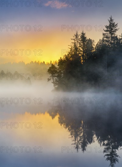 Atmospheric sunrise with wafts of mist over the mirror-smooth moorland lake Étang de la Gruère in