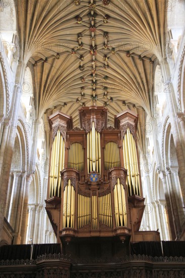 Interior organ and ceiling Norwich cathedral church, Norwich, Norfolk, England, UK