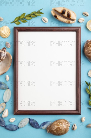 Composition with wooden frame, seashells, green boxwood. mockup on blue pastel background. Blank,