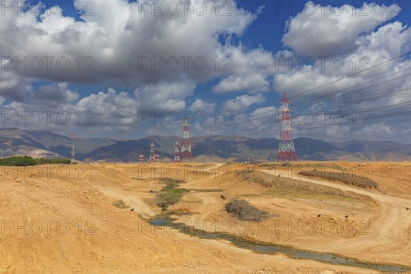 Landscape Oman, Raysut Waste Water Treatment Plant, Tree, Palm, Building, Steppe Eagle, Aquila