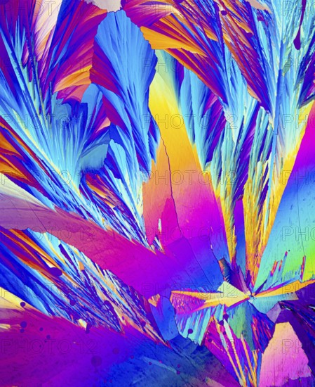 This image captures the stunning microscopic view of Adipic acid crystals, showcasing a vivid array
