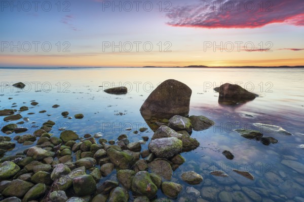Rocky beach with boulders on the Bay of Greifswald at sunset, Mönchgut Nature Reserve, Groß Zicker,