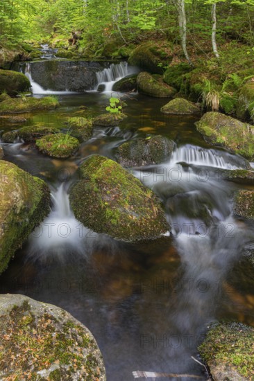 Kleine Ohe creek below Waldhaeuser village in the Bavarian Forest Nationalpark. Flowing water,