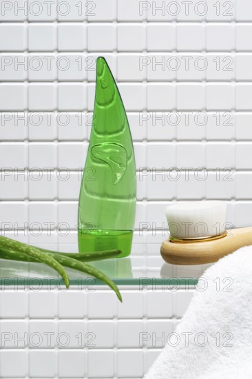 Bathroom essentials for skin care featuring a bottle of aloe vera gel and body cream beside a fresh