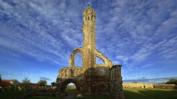 Scotland, St Andrews Cathedral, St Andrews