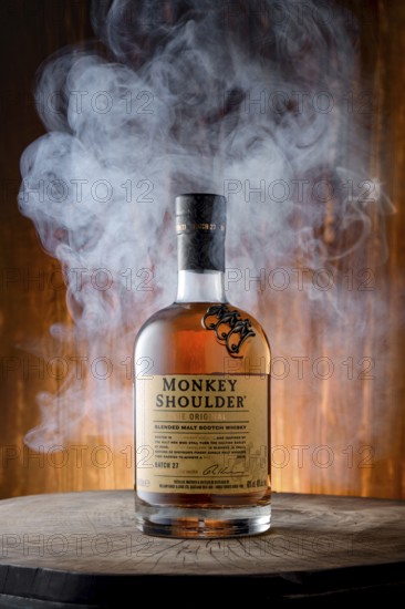 April 8, 2022, Minsk, Belarus, bottle of Monkey Shoulder blended malt scotch whisky surrounded with