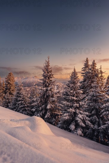 A Winter Wonder Land sunset hiking tour in the snow on the Edelsberg near Nesselwang in the Allgäu