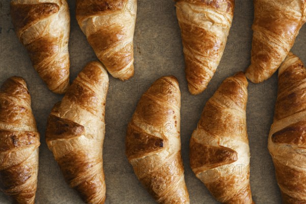 A high angle view of freshly baked homemade croissants placed on a baking sheet. Their golden brown
