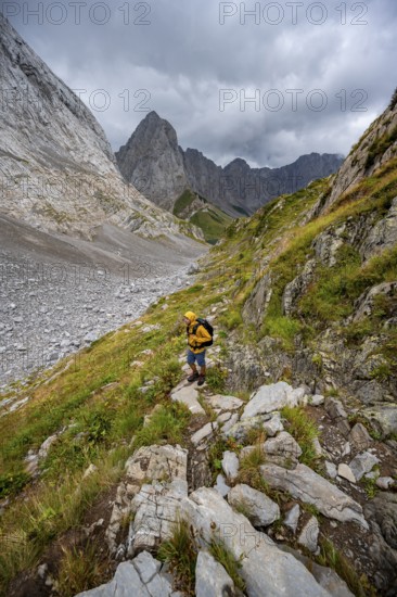A mountaineer on a hiking trail with lush green vegetation, hiking trail to the Wolayerseehütte,