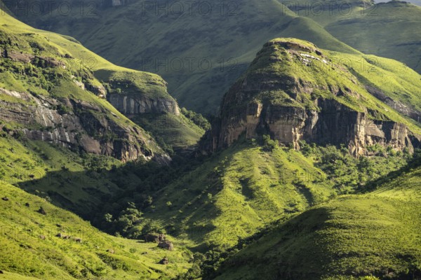 Detail, mountains and grasslands, Drakensberg National Park, KwaZulu Natal, South Africa