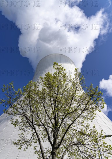 Cooling tower of the Duisburg-Walsum coal-fired power plant, combined heat and power plant operated