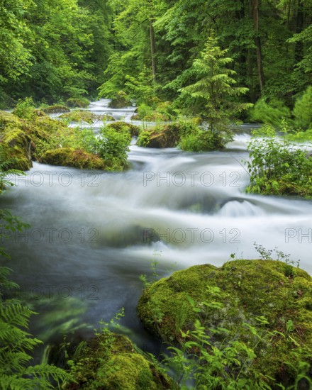 White water and rapids on the Trieb stream in the Triebtal nature reserve in Vogtland, Plauen,