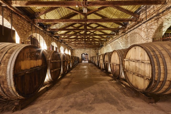 A wine cellar with wooden barrels and rustic stone walls in warm light, Achaia Clauss Winery,