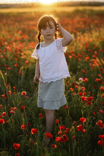 A young girl stands amid vibrant Papaver rhoeas, known as common poppy and red poppy, during a