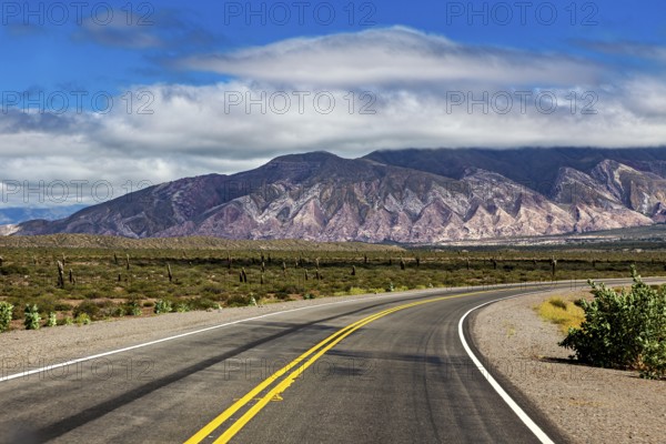Winding road leads through barren landscape with mountains and cacti, cloudy sky in the background,