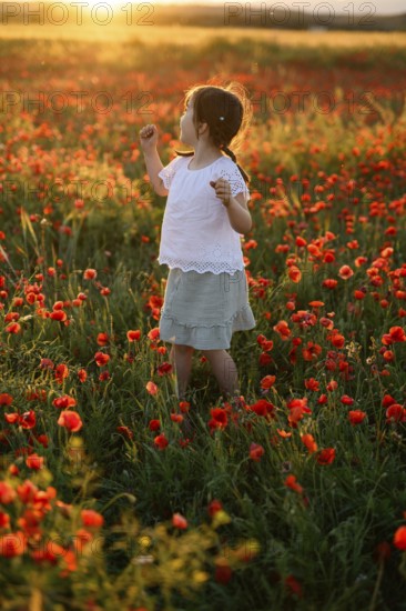A young girl wanders through a lush field of Papaver rhoeas, commonly known as common poppy or red