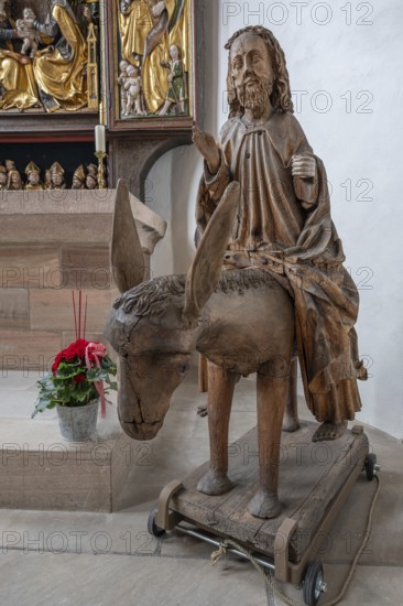 Historic palm tree in the town church of St John the Baptist and St Martin, Middle Franconia,