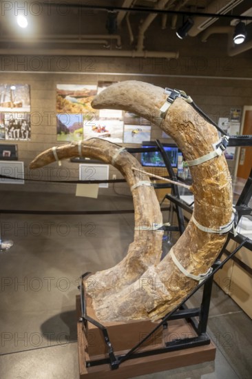 Vernal, Utah, The Utah Field House of Natural History State Park Museum displays dinosaur models,