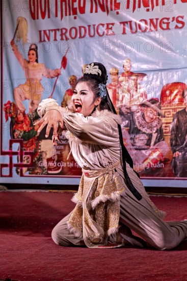Fascinating stage performance with traditional Viet dance, dramatic expression and colourful