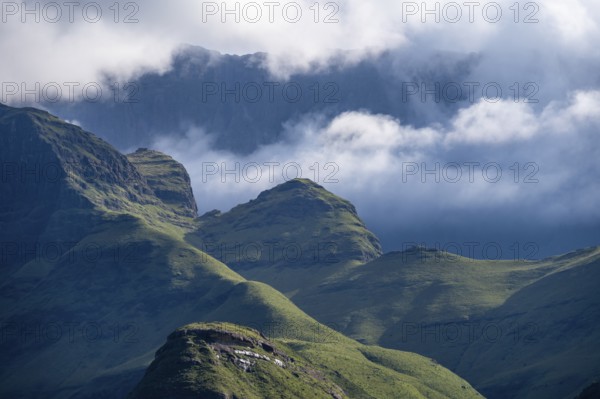 Drakensberg Mountains and Cliffs with Fog, Amphitheatre, Drakensberg National Park, KwaZulu Natal,