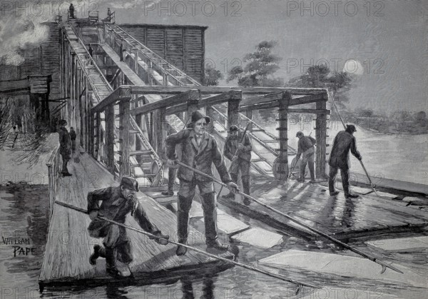 Extraction of ice for cooling, transportation of the ice sheets into storage using the paternoster