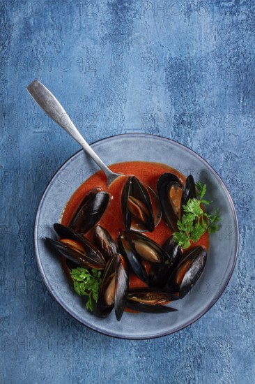 Fra Diavolo mussels, mussels in tomato sauce, Italian dish, on a blue background, homemade, no