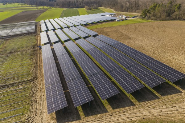 Large-scale solar system on arable land with adjacent trees and fields, Agri PV Bau für