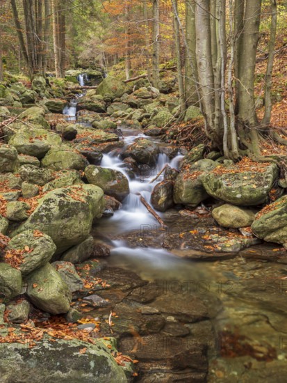 Riesloch nature reserve, Riesloch Falls, Riesloch Falls, Riesbach waterfall, Bodenmais, Bavarian