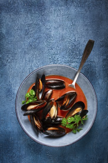 Fra Diavolo mussels, mussels in tomato sauce, Italian dish, on a blue background, homemade, no