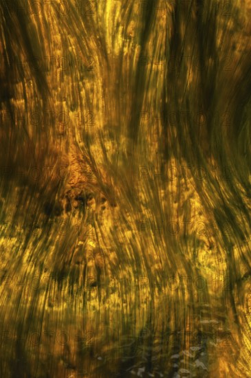 Abstract image capturing the striking colors and flow of Riotinto River in Huelva, Spain The