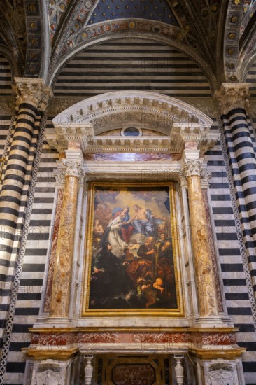 Interior of colorful marble decoration, Siena Cathedral or Cattedrale di Santa Maria Assunta,
