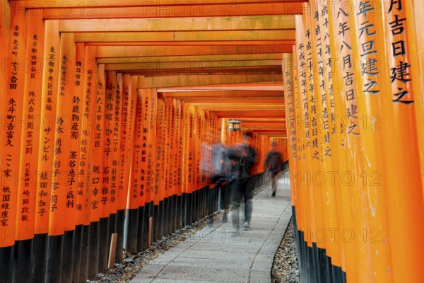 Visitors on a journey through hundreds of red traditional torii gates, Fushimi Inari-taisha, Shinto