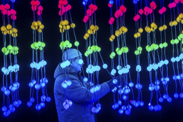 Park lights, winter event, in the Grugapark in Essen, many different light installations, across