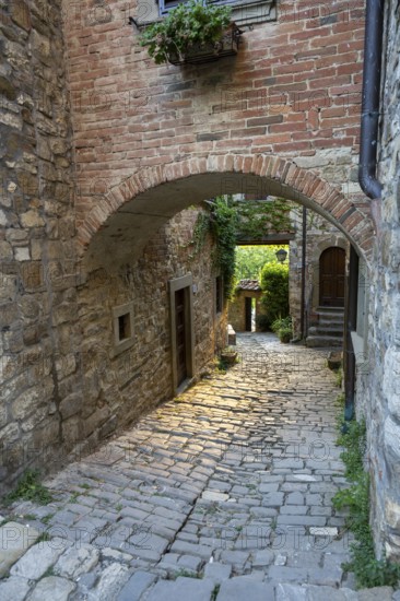 View of a little Street in the little wine town of Montefioralle, Chianti, Florence, Firenze,