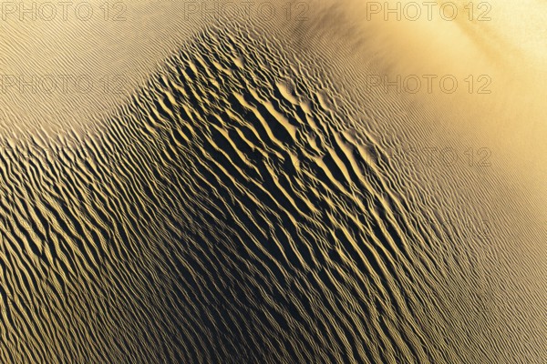 Explore the intricate textures of La Puna sand dunes at sunset. The golden hues and undulating