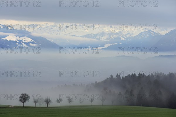 Landscape covered in fog, snow-covered Alps behind, Beinwil, Freiamt, Horben, Lindenberg, Aargau